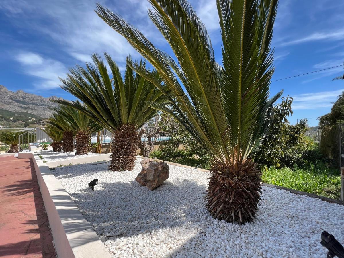 Casa Rural Altaret Callosa de Ensarriá Exteriör bild