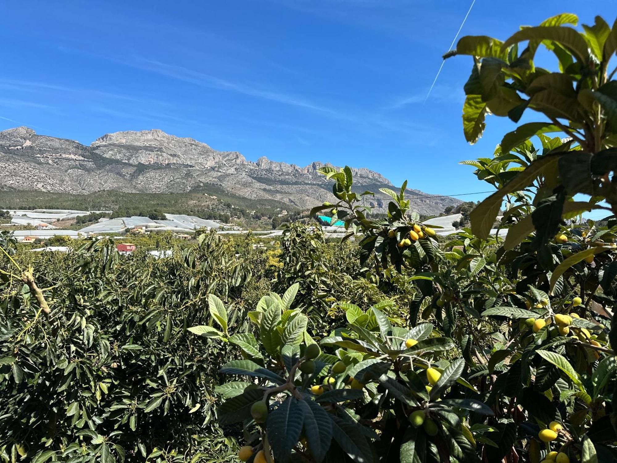 Casa Rural Altaret Callosa de Ensarriá Exteriör bild