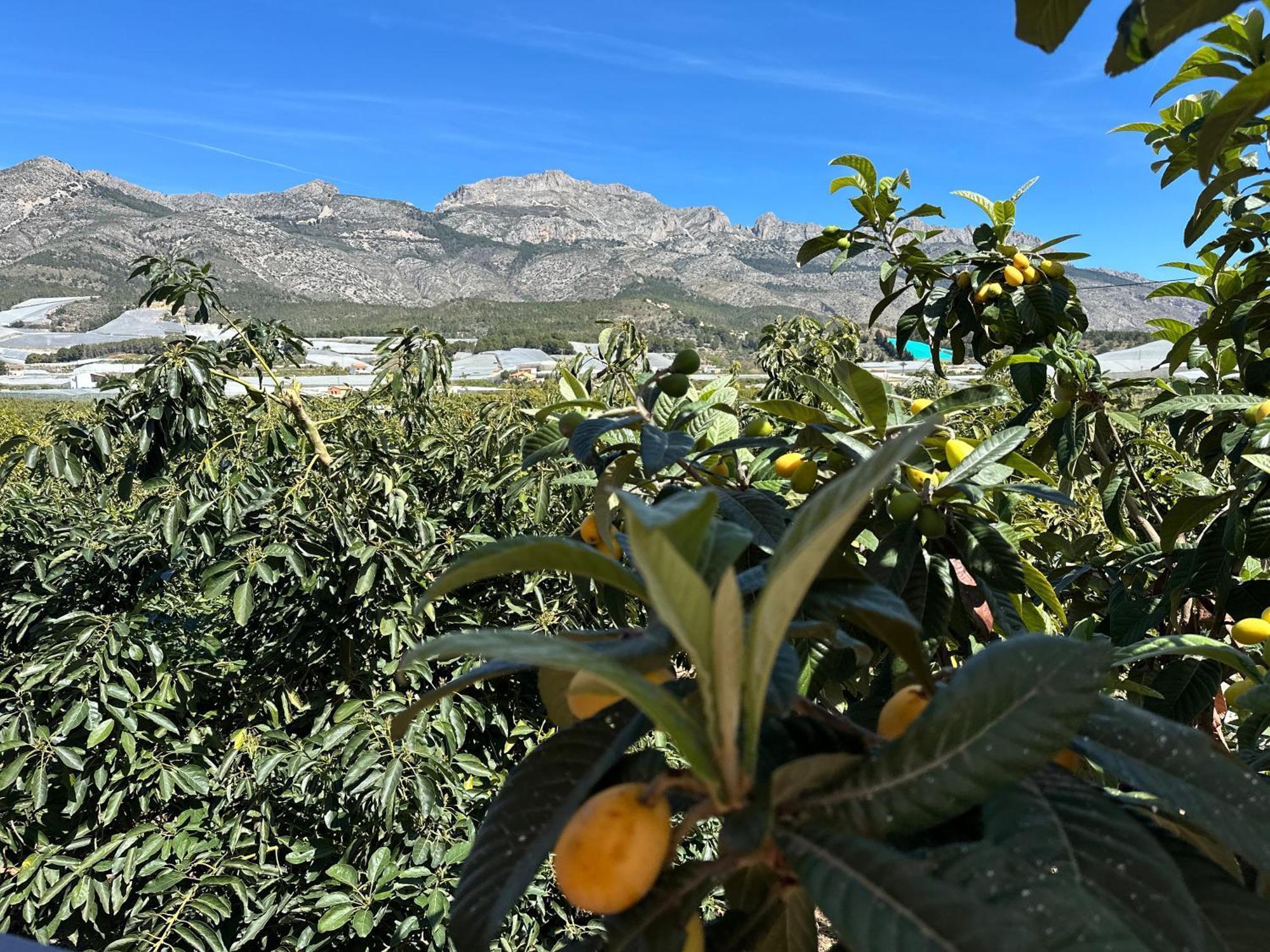 Casa Rural Altaret Callosa de Ensarriá Exteriör bild