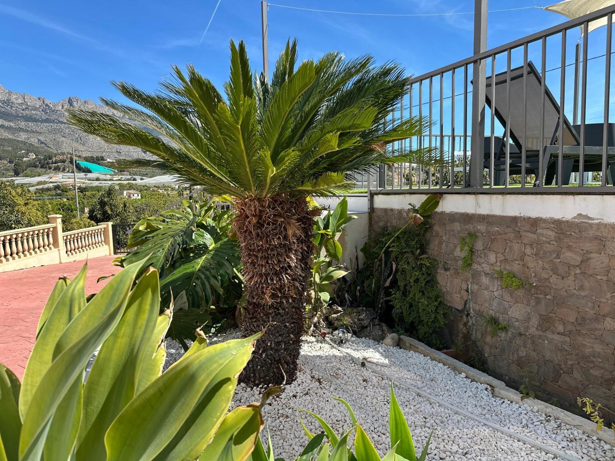 Casa Rural Altaret Callosa de Ensarriá Exteriör bild